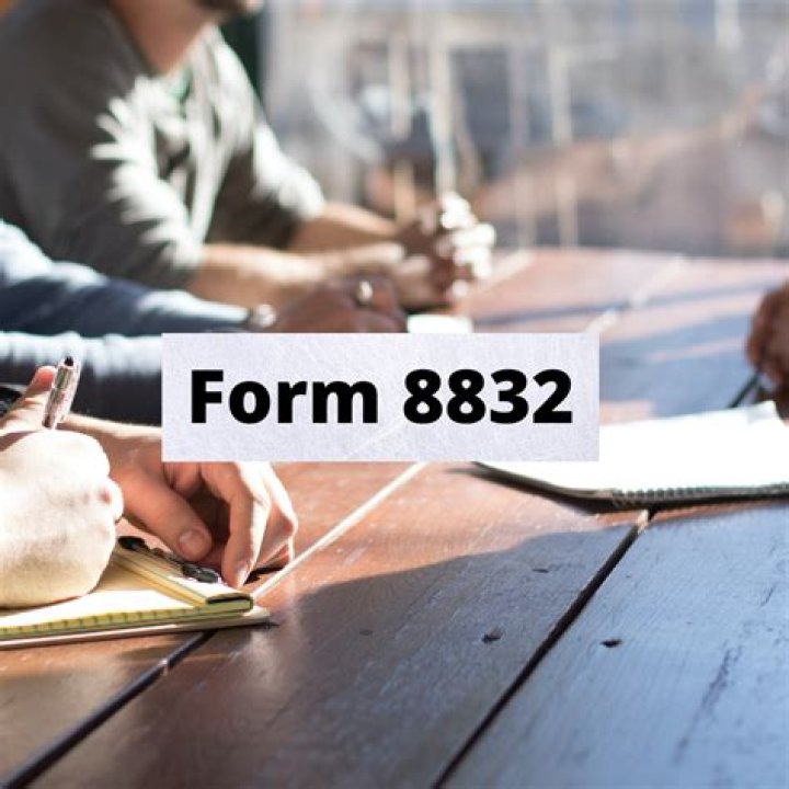 Can a partnership file form 8832?