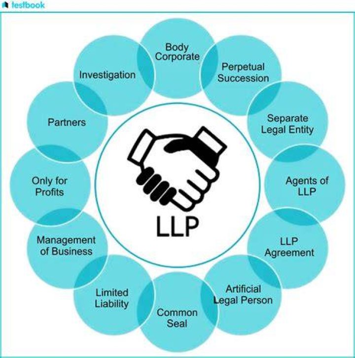 Can an S corp own a limited partnership?