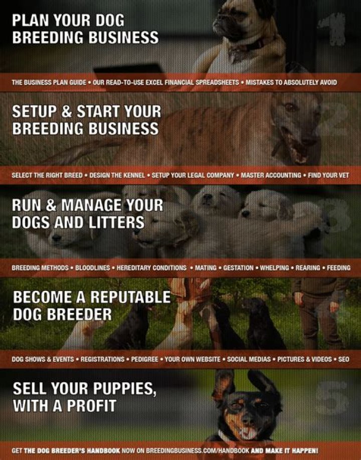 Can I write off my dog breeding business?
