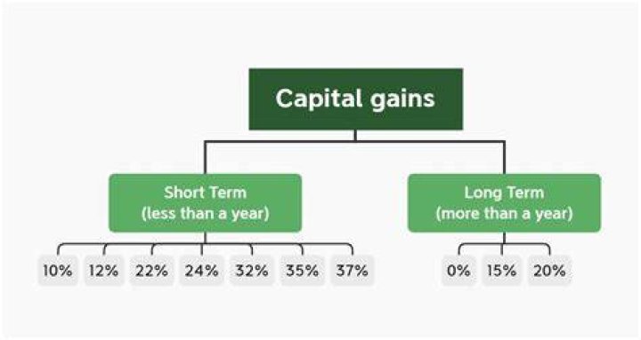 Can short term capital gains be carried forward?