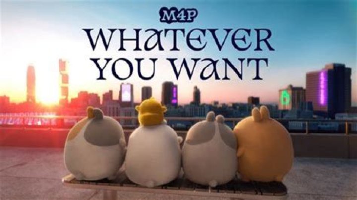 Can you put whatever you want on W4?