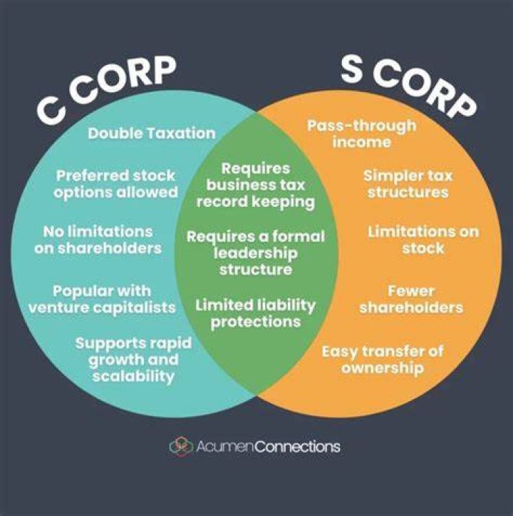 Does an S corp issue a k1?