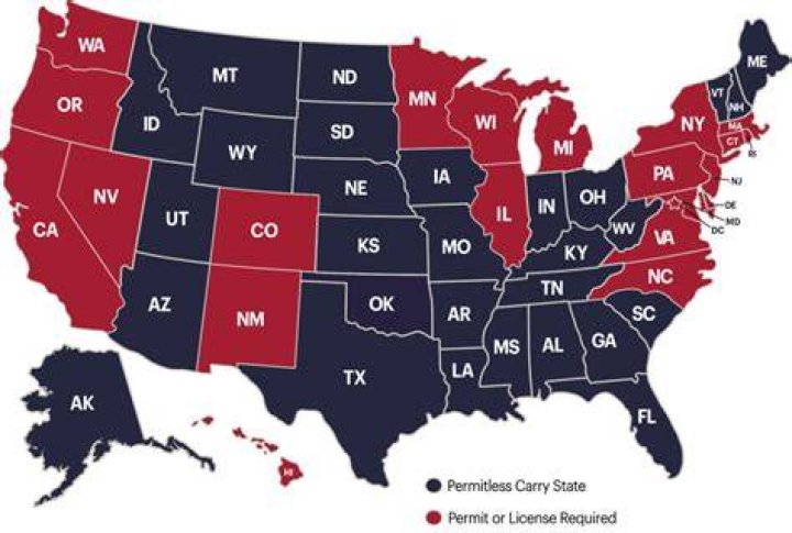 Does Georgia allow LLC domestication?