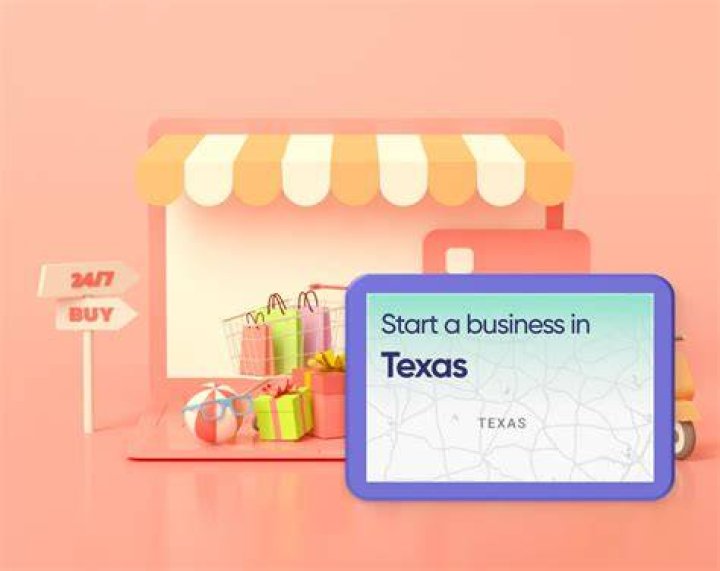 How do I check the status of a business in Texas?