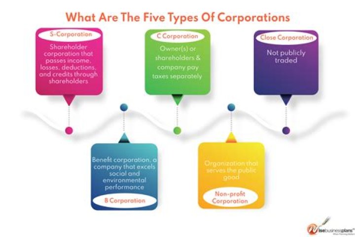 How do I know what type of corporation My business is?