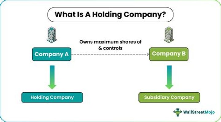 How is a holding company managed?