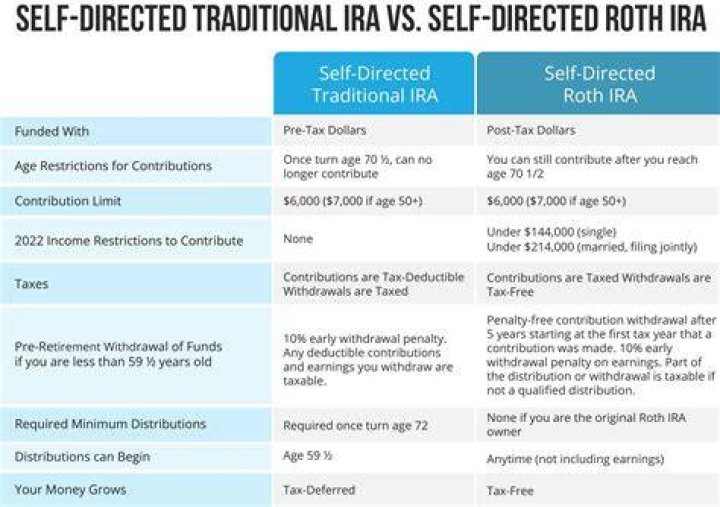 How much can you put in a self-directed IRA?