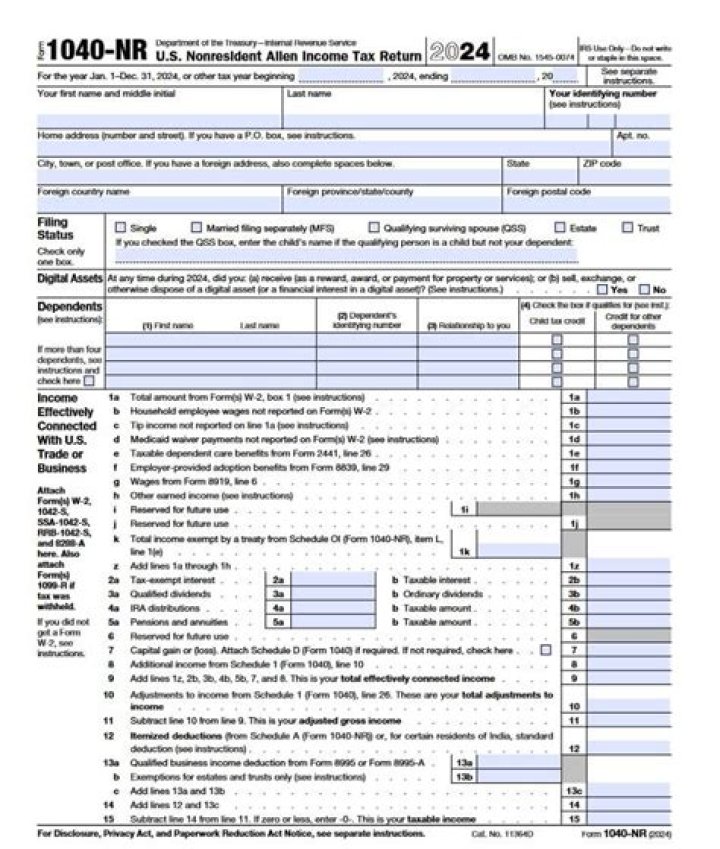 Should I file 1040-NR or NR EZ?