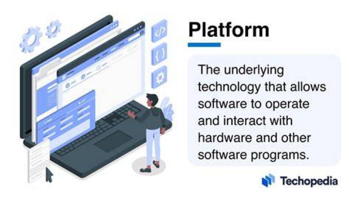 What does platform software include?