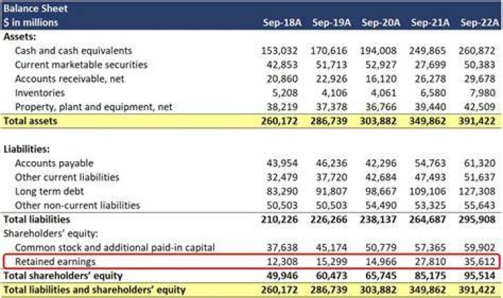 What goes in cash on balance sheet?