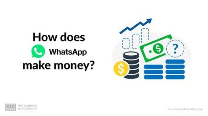 What happens if an LLC does not make money?