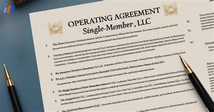 What is a foreign owned single member LLC?