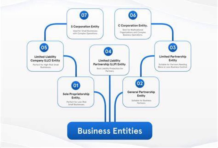 What is a LLC business entity?