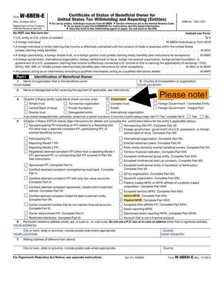 What is Chapter 4 status W-8BEN E?