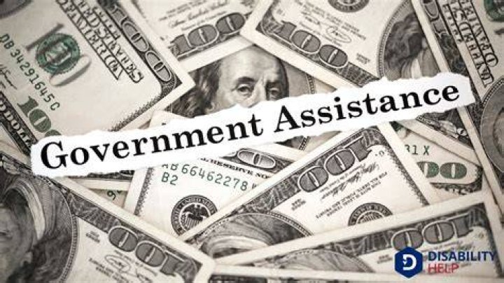 What is government assistance income?