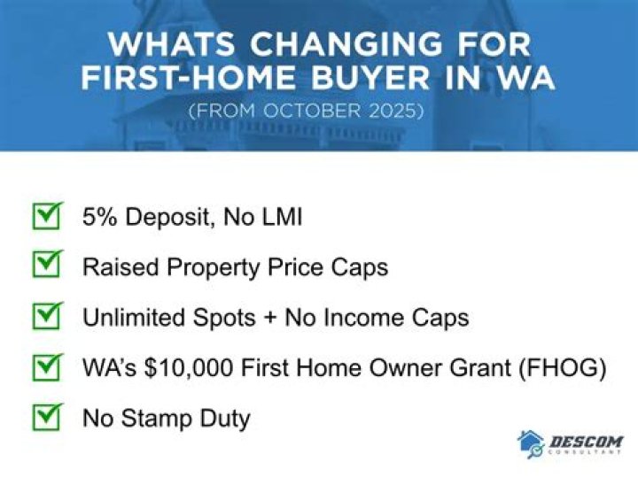 When was the first home owner Grant introduced?