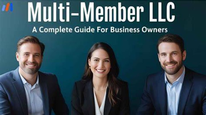 Who are the owners of a multi member LLC?