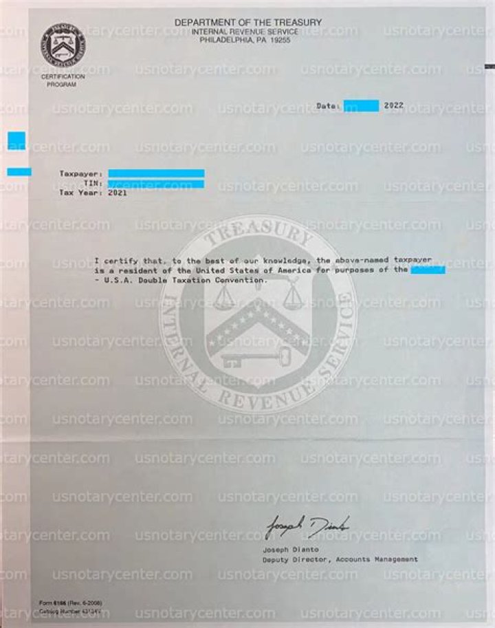 Who is the revenue agent for the IRS?